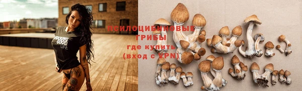mix Лиски